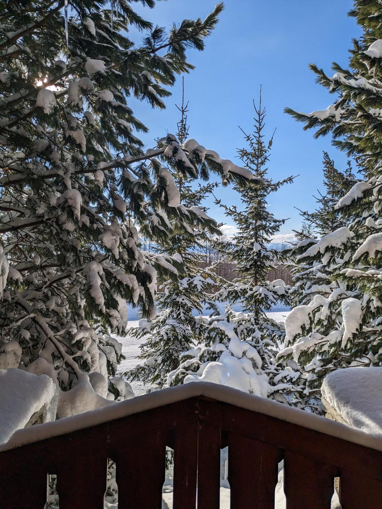 Apartmany Lesy A Luky - V Srdci Tatier Vysoke Tatry Exterior photo